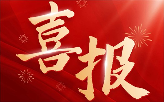 集團(tuán)榮膺2025中國(guó)民營(yíng)企業(yè)500強(qiáng)第249位，制造業(yè)民營(yíng)企業(yè)500強(qiáng)第177位，排名較去年雙雙大幅提升