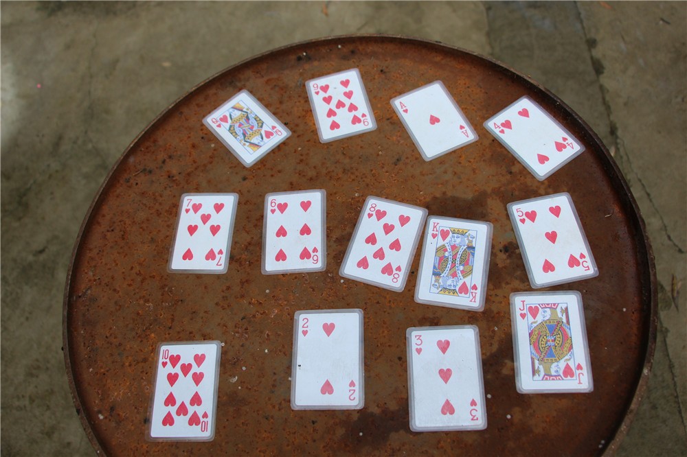 [順義鮮花港]+旅游團建一日活動