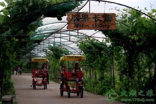 [蘇州太湖綠光農(nóng)場(chǎng)拓展基地]+ 致青春無悔！一日拓展活動(dòng)