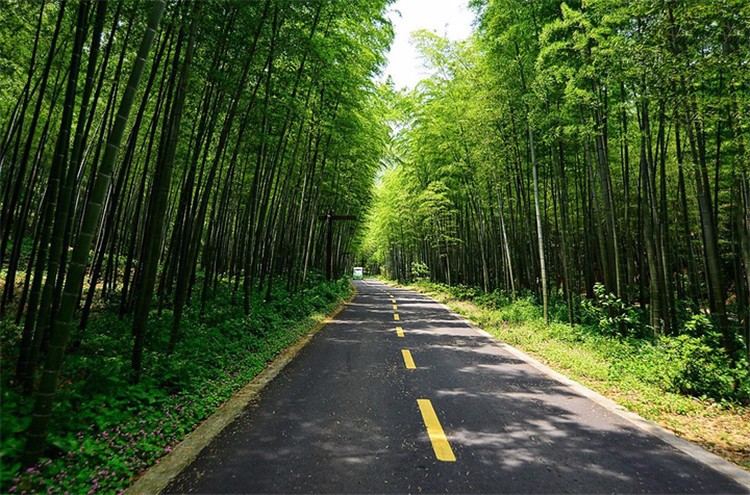 [南山竹海景區(qū)]+新員工一日場地團(tuán)建